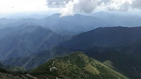 太白山附近免费停车场在哪,宁波太白山天童森林公园的游玩指南是什么?