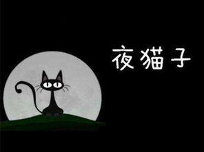 杰斯诺管家 夜猫子熬夜必备技能Get