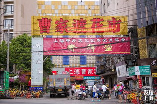 倒计时 陪伴上海宁十几年的花鸟市场,还有两个月就彻底关闭了 