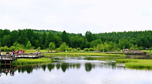 又挖到一个避暑纳凉的地方,景美空气好,也太绝了吧