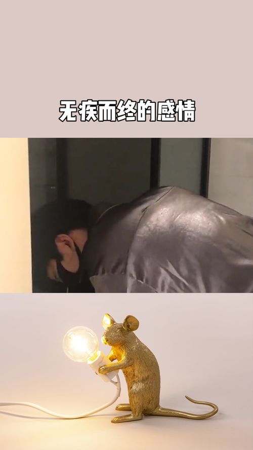 无疾而终的感情 