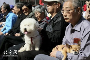 迎全运 天津文明养犬宣传进社区