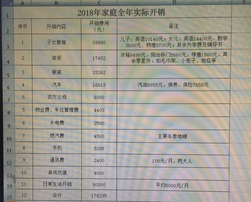 养一双儿女不容易,记账吓一跳,18年用了快18万 