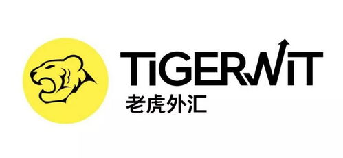 tigerwit老虎外汇能用人民币入金吗？