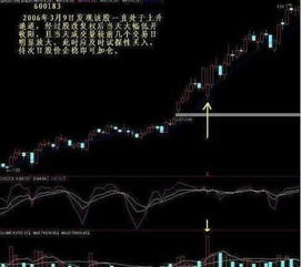 股票 那些什么恒股什么低开 两万多点 买股不是买公司的吗 有那么多点? 还有去年六千多点今年降到一千多点的又是什么