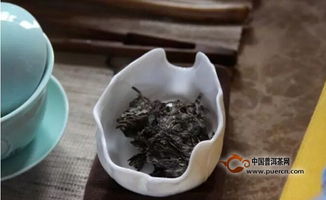 什么叫做润茶