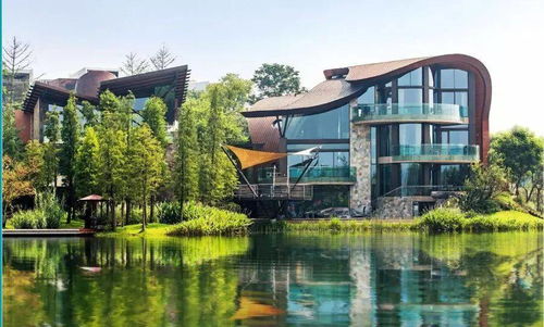 国内顶级富豪小区 国内四大神盘之一 成都麓湖生态城装上了卡特加特全宅智能