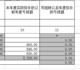 本年利润年终亏损，如何在报表上反映?