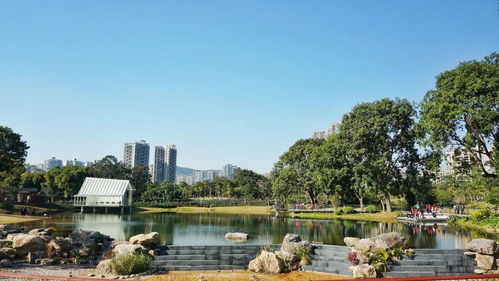 深圳70 公园免费开放 适合家庭出游,收藏起来
