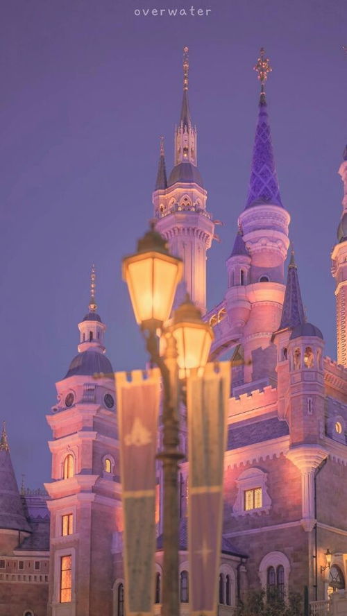 迪士尼城堡手机壁纸夜