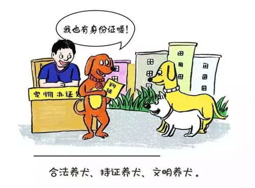 芜湖市养犬管理条例 5月1日施行