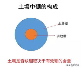 全国第二次土壤普查数据(全国第二次土壤普查数据公布)