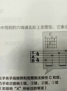 吉他六线铺上这个C什么意思,123和oox代表什么 