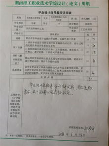 评阅,毕业生,意见,论文