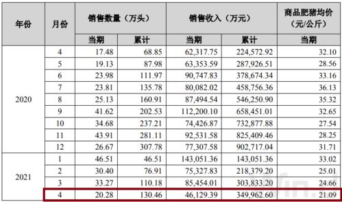 二师兄 也疯狂 上天入地玩心跳,春天何时来