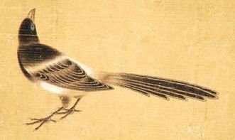 关于鸟的诗句及翻译