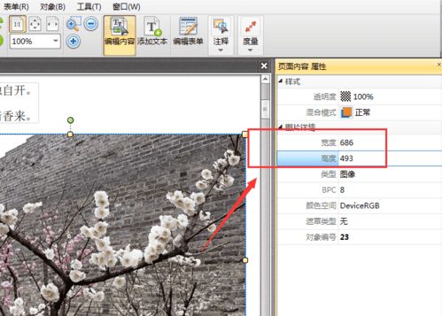 PDF图片怎么编辑 测量pdf图片长宽的方法 