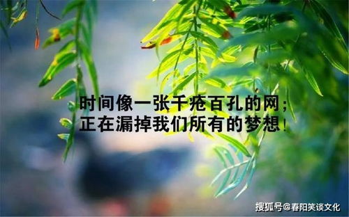 微信早晨充满正能量的经典句子