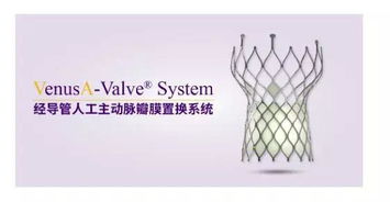 启明医疗VenusP-Valve成功进入美国临床市场，开创中国瓣膜出海新纪元