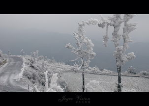 那一场风花雪月的事