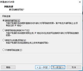 独立服务器多个外网IP,每个网站都设置不同ip怎么设置 (独立服务器iis)