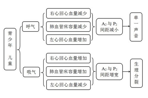 一文读懂 五花八门 的S2分裂