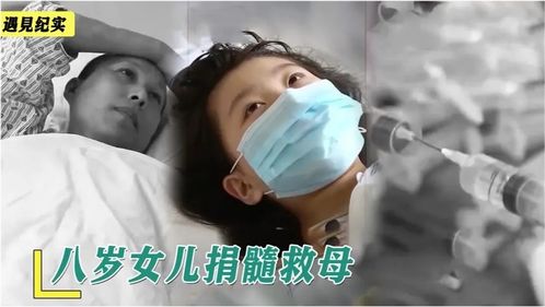 8岁女儿捐髓救母,局麻穿刺一声不吭,医生都为这份坚强感动 