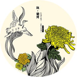 十二月令花 插画设计