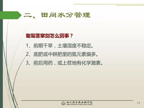 助农网络推广方案范文  京东助农怎么发起？