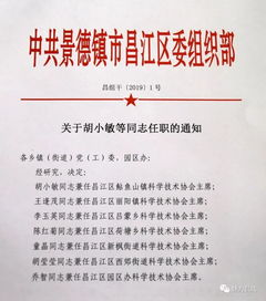 昌江区这个协会基层换届完成