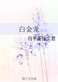 白金龙 白羊座张文君 