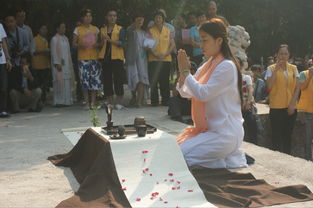 重阳节 南山 大型福寿法会在南山寺举行