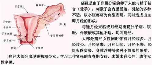 十分钟解决痛经的方法有哪些(彻底解决痛经最有效的方法)