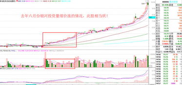 什么情况下股票会停？如果停了投入的钱都作废么？谢谢。。。