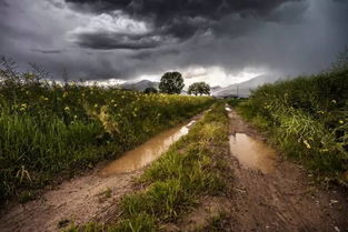 下雨天路上风景随拍文案(下雨天路上风景随拍文案简短)