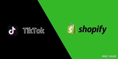 TikTok直播的几个小Tips具体介绍_tiktok开广告账户找谁