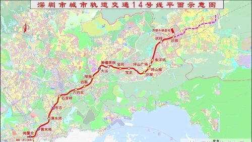 坪山惊现无人 看管 的 熊猫仔 ,路过市民却纷纷点赞