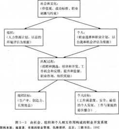 人力资源的基础知识