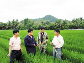 农业部 全力防控水稻病虫害确保全年粮食丰收 