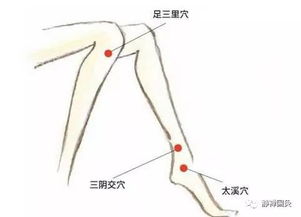 滋养人体的肾脏之水 太溪穴