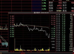 大智慧6.0里怎么查看深圳中小板股票