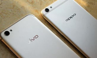 vivo oppo 中文名 首次亮相,网友 念着挺绕口 