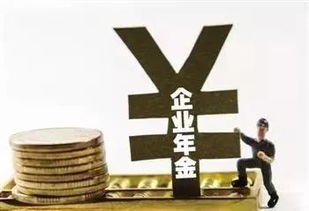 企业年金是什么意思 (荷兰交多少年养老保险退休)