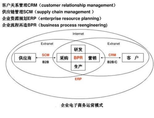 初学者必知：查重的基本概念与原理