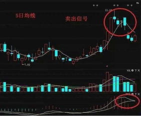 为什么股票高位放大量后就要逃啊，这是一根很长的红柱，不是指买入的人多吗，为什么指要下跌啊