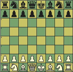 国际象棋教程 棋子摆放规则