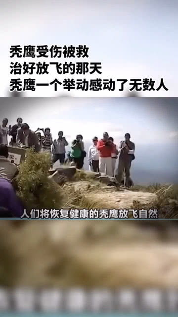 心存善意 结局感人 