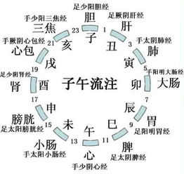 三阴三阳的哲学基础是 一分为三 和 一分为二