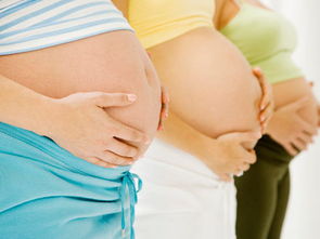 怀孕过程，怀孕的过程和方法