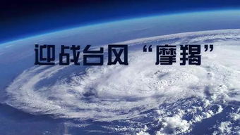 摩羯座台风如何防治，摩羯台风预计什么时候离开浙江